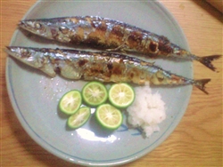 0909sanma2_R.jpg