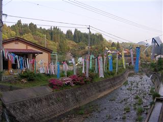 koinobori2r.jpg